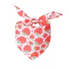 Pet Cat Dog Bandana Collier A réglable Neckerchief Triangle Cou Neck Scarf Fruit Patter Salive Sweel Pet Supplies For Girl and Boy