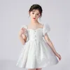 Robe de fille robe de filles 2024 coréen édition à la mode duveteuse pour les enfants princesse d'été Petites filles