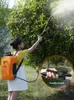 10L Elektrisk sprayer Liten jordbrukslitiumbatteri Sprutning Burk Hemma Snapsack Peesticide Sprayer Desinfect Gardening Product