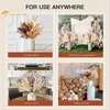 Natuurlijk gedroogde Pampas Bouquet Home Autumn Decoratie Dry Flowers Reed Wedding Party Centerpieces voor tafels Scène Shoot Ornamenten 240409