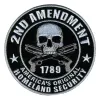 VS 2e amendement 1789 geborduurde stof patch adelaar dubbele pistool schedelzak patches geborduurde vlekken voor kledingdap hookloop