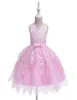 05y Neugeborene Kleinkind Baby Kid Girls Kleid Kleid Spitze Bogen Tutu Party Hochzeits Geburtstag Weihnachten für Mädchen Kostüme 7000023