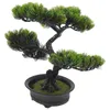 Decorative Flowers Artificial Potted Cutainsforbedroom Small Desk Welcome Song Decoration Living Bonsai Tree Fake Plants Abs