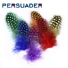 Persuader 50 Feathers Pack Premium punteggiata di ghetta galline 10 Colori opzionali Hackle collari/ali/code vola per legare le piume