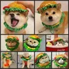 Dog Apparel Burger Capuz de colarinho Cosplay Cartoon Pet Fries Avental Elisabeth Circle Fantas