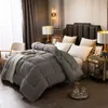 2023 Autumn Winter Thicken Warm Lamb Wool Quilt Blanket Single Double King Queen Bed Duvets Hotel Comforter Cover Home Bedding