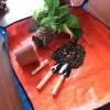 Tuinieren Potting Pad opvouwbare transplanterende potmat herbruikbare antidirty oranje milieuvriendelijke draagbare huistuinbenodigdheden