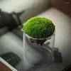 Vasen klare Knospenkerzenhalter Pflanzer Terrarium für Hochzeitsfeier Blume Vase -Mittelstücke Zuhause Akzentdekoration