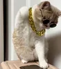 Dog collar cat and puppy chain shiny little cat party necklaces suitable for small and medium-sized dog pet collars accessories LT909