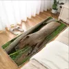 Vardagsrumsmattor Non-Slip och Washable Kitchen Mat Capybara Anti Mattor Bedside Floor Mats Bedrooom Kawaii Rug Entrance Doormat