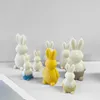 Złamany króliczka króliczka Świeca silikonowa forma DIY Wielkanocny królik zapach świeca ręcznie robione mydło gipsowe ozdobne dekoracje domu