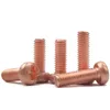 T2 Pure Copper Round Croif Cross Vis PM Haute conductivité GB818 Pane tête Phillips Grove Machine dentaire Vis M3 M4 M5M6