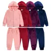 Broek Kids Baby Girls Winter Veet Outfits Todder lange mouw sweatshirts met capuchon+jogger broek tracksuit mode kinderkleding sets