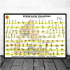 Home Workout Gym Yoga Ashtanga Chart Posture en toile saine Peinture Affiches et imprimés Mall Art Pictures Salon DÉCOR HOME