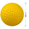 2pcs Couleur solide portable facile à transporter Pratique d'entraînement Balles de golf sportives de golf