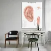 Wangart Anatomische Diagramme Poster Ohr Akupunktur -Ohr -Anatomie -Poster Leinwand Malerei Wandbilder für die medizinische Ausbildung