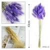 Fleurs décoratives 50pcs Dry Tail Grass Pampas Pampas Natural Flower Decor Boho Wedding Floral Arrangements Home Bouquets DIY