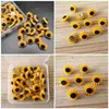 40 PCS PIN de flores solar Pushpins Pushpins Cork Parede preta Parede fofa do escritório de avisos delicados decorações de mesa