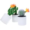 Flores decorativas 3 PCs Cacto artificial Figuras Mini ornamentos