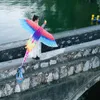 Énorme jouet phoenix kite pour les enfants et les adultes thème des oiseaux Activité sportive amusante pour débutant en plein air, activité sportive amusante en plein air