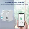 Tuya Wi -Fi Smart Sucure Shucker с измещением мощности 1p 63a Din Rail Smart Life Control Switch с Alexa Google Home