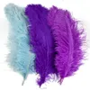 10pcs/lot紫色のダチョウの羽毛のためのウェディングパーティーの装飾プルーメ