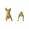 Mässing Dog Head Cabinet Door Knobs Gold Dog Tail Drawer drar Kökhandtag Nightstand Draws Home Decor Dresser Knobs Hardware