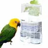Autres fournitures d'oiseaux Dispensateur alimentaire Alimentation Automatique Perkeet Waterer for Parrot Cage Accessoires