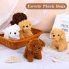 Keychains 20Pcs Cute Teddy Dog Plush Keychain Small Pendant Kids Toys Backpack Hangings Stuffed Animals Christmas Birthday Gifts