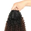 Afro kinky krullende paardenstaartklauwclip in paardenstaart Ombre T1B/4/27 Human Hair for Women Remy Hair Clip in paardenstaartverlengingen