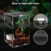 Nieuwe reptielen Habitat Terrarium fokdoos acryl transparante reptielen kooi nano arborale tarantula behuizing terrarium