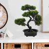 Decorative Flowers Artificial Potted Cutainsforbedroom Small Desk Welcome Song Decoration Living Bonsai Tree Fake Plants Abs