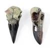 Goth Raven Skull Colar Réplica Réplica Raven Magpie Crow Poe Gothic Presente Halloween Raven Skull Colar Pingentents Gream por atacado