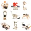 DIY Science Toys Children Education STEM Kits Car Dinosaur Model Technologia Experimental Tool Wood Puzzle Games School Supply