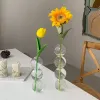 Pottes de fleurs de fleur de fleur de champign