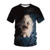 Hip Hop Animal Pig 3D Impresso de verão masculino T-shirt grande tamanho de manga curta Crewneck Harajuku Street Trend camisa