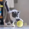 Interactieve bal Smart Cat Toys Catnip Cat Training Training Training Toy Cat Play Ball Pet Squeaky Supplies Products Toy For Cats Kitten