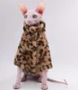 Costumes de chat Costumes des vêtements pour animaux épaisseur de veste chaude pour chats sans cheveux Sphynx Devon Rex et petit