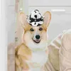 Hundkläder husdjur hatt dreses festival katt söt hushåll för hundar icke-vävda tyg party valp bedårande tillbehör