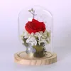 Вазы Cloche Bell Jar Terrarium Vhaycas