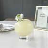 Vasen Cindy Ästhetik Einfache leichte Luxus -Ins Glas Vase Esstisch Schlafzimmer Büroschreibtisch Blume Arrangement Hydroponische Dekorationen