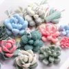 DIY Succulent Cactus Silicone Moule de plante Modeling Cougie Moule Fondant Cake Chocolate Moule de boulange