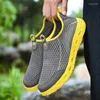 Casual Shoes Spring Autumn Hurtowa lekka sport sportowa na czterech kolorach Sneakers39-48 C639