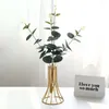 Vases Iron Art Hydroponic Vase Ornement moderne Smooth Simple Potted Container Ornements en métal durable Small Waist Living Room