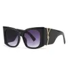 119 New Fashionable Big Frame Cat's Eye Sunglasses Ins Wind Sunglasses Women's Senior Sense