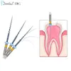 6pcs/Box Dental Heat Activated Canal Root Files SX-F3 25mm Dentist Tools Can Bend for Preparing Root Canal Treatment