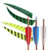 25 PCs/50 PCs Escudo Corte Arco -flecha Feathers Feathers Turquia Arrow Arco e fleching Fletching 4 polegadas