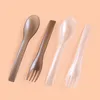 Disposable Flatware Japanese Style Spoons Wholesale Plastic For Takeout Packaged Cake Forks Dessert Spoon