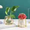 Vases Terrarium Retro Iron Line Vase Hydroponic Plant Flower Home Decor Metal Holder Nordic Styles