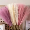 Decorative Flowers 55cm 5pcs Fluffy Pampas Reeds Boho Fake Plants Mock Up Wedding Party Home Decor Artificial